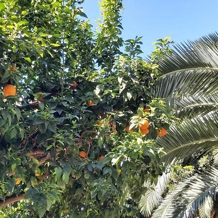 Apartament Del Parque Flats Urban Corner Malaga Zewnętrze zdjęcie